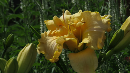 69dc5bbebd27d1.21711985.jpg