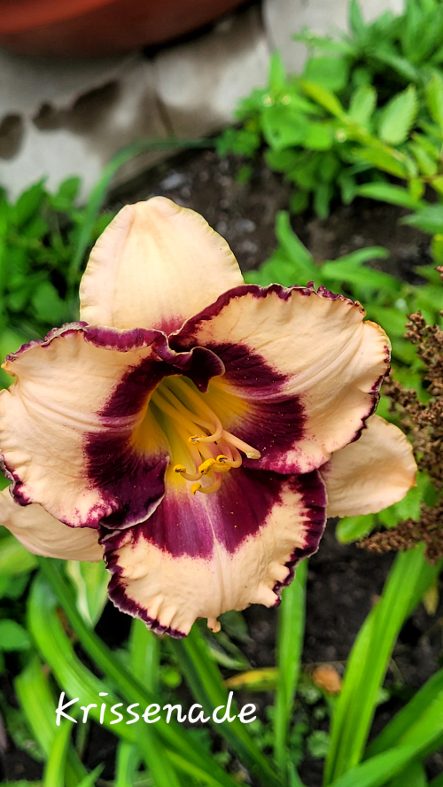 69f0414a98d907.37860852.jpg